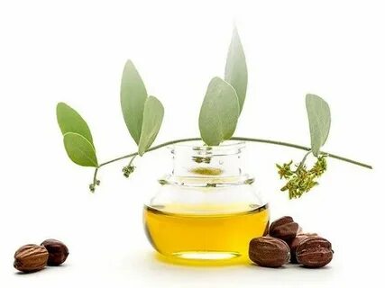 قیمت روغن هسته خرمای صادراتی